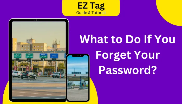 What to Do If You Forget Your Password?